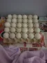 яйца от кокошки Легбар и пекински патици юрдечки, снимка 8