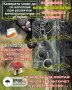 Ловна камера Suntek HC-810M/G, Фото капан, FULL HD,MMS EMAIL дисплей, нощно виждане, водоустойчива, снимка 3