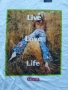 Мъжки блузи Levi's - размер L/XL/XXL, снимка 12