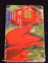 Две фонокарти БЕТКОМ, БУЛ ФОН Тема ОРХИДЕИ,РОДОПСКО ЛАЛЕ за КОЛЕКЦИЯ ДЕКОРАЦИЯ 12591, снимка 5