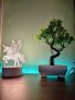 Декоративен изкуствен бонсай в саксия, Зелен, снимка 1 - Стайни растения - 43336759