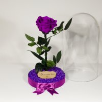Лилава Вечна Роза в Стъкленица / Оригинален Подарък за Жена / Лилава Естествена Вечна Роза, снимка 4 - Ръчно изработени сувенири - 37067134