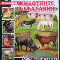 Опознай животните в България: Обитателите на двора, снимка 1 - Детски книжки - 33528282