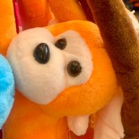Плюшена маймунка/Музикална плюшена маймунка/Маймуна плюш, снимка 5 - Плюшени играчки - 36754931