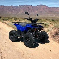 Бензиново ATV Max Motors Grizzly 125cc Blue Автоматични Скорости, снимка 1 - Мотоциклети и мототехника - 37774699