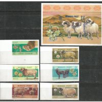  Блок марка и Сет 6 марки Овце , 1999, Монголия, снимка 1 - Филателия - 27995217