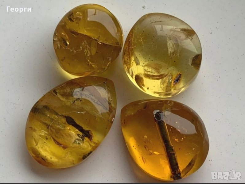 Балтийски кехлибар с отлично съхранени фосили , снимка 1