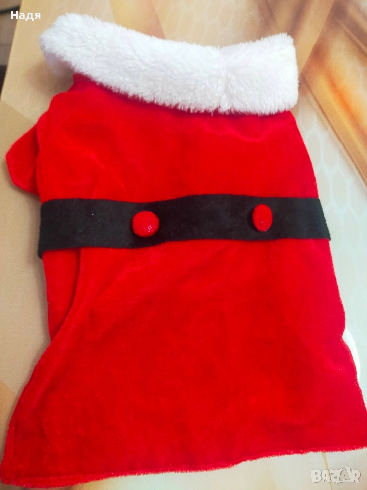 Коледна дрешка за куче , снимка 1