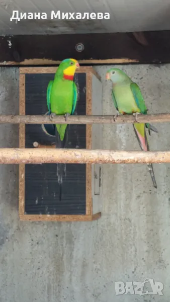 Барабанди, снимка 1