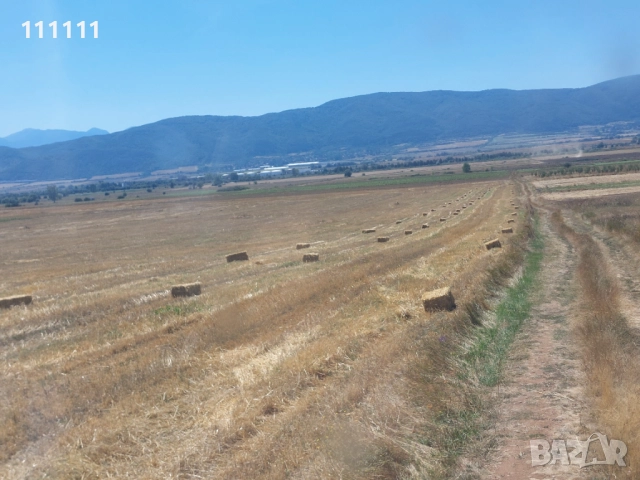 Продавам бали слама , снимка 15 - За селскостопански - 51257470