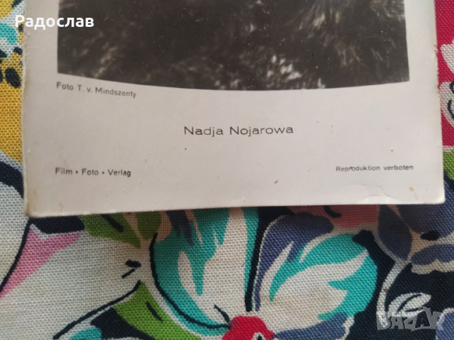 стара снимка на Надя Ножарова , снимка 2 - Колекции - 51635726