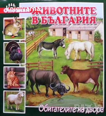 Опознай животните в България: Обитателите на двора, снимка 1 - Детски книжки - 33528282