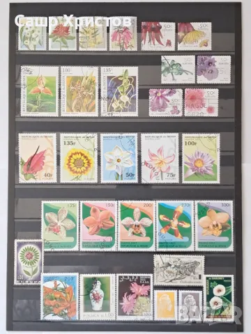 Пощенски марки тема ”Растения”., снимка 8 - Филателия - 49390160