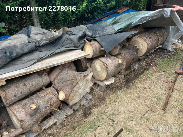 Дърва за огрев-бор, снимка 2 - Дърва за огрев - 48079981