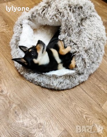 Ново зимно - топло плюшено Легло * Възглавница * Къща *Хралупа * За котка * куче * Размери * Цветове, снимка 8 - Други стоки за животни - 39212651