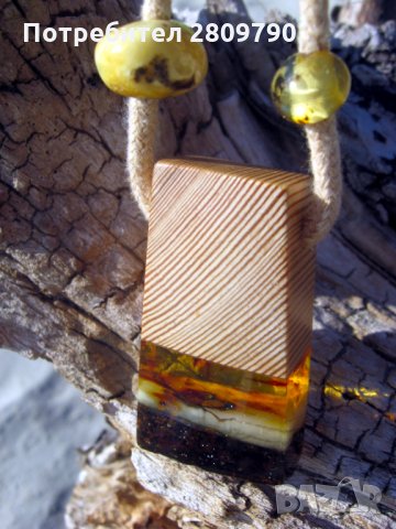 Висулка от кехлибар, коята привлича цялото внимание / Pendant of amber that attracts all attention, снимка 5 - Колиета, медальони, синджири - 32273904