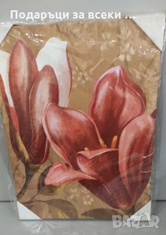 НОВО! Страхотни картини 40см/30см, снимка 1