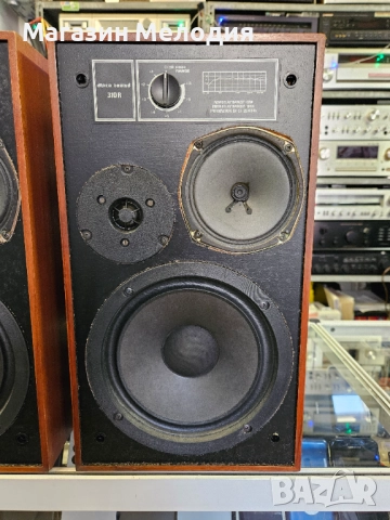 Тонколони Disco - sound 310 R В отлично техническо и визуално състояние., снимка 6 - Тонколони - 52720958