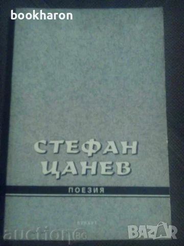 Художествена литература - БЪЛГАРСКИ АВТОРИ, снимка 13 - Художествена литература - 51098433