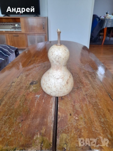 Стара кратуна #4