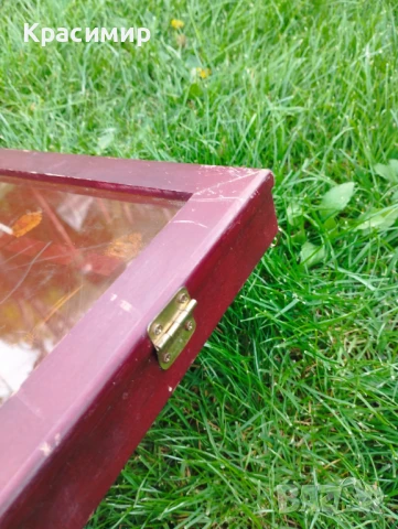 Дървена стойка за КОЛЕКЦИЯ лъжички./ПРОДАВА СЕ БЕЗ ЛЪЖИЧКИТЕ/, снимка 5 - Антикварни и старинни предмети - 51286872