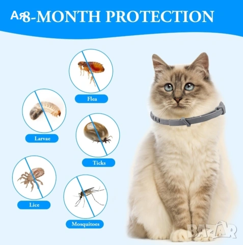 Антипаразитен нашийник за малки кучета и котки, снимка 2 - За котки - 53194812