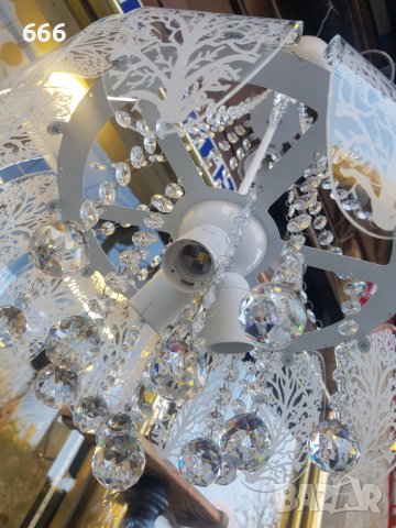 Полилей, снимка 6 - Полилеи - 43341895