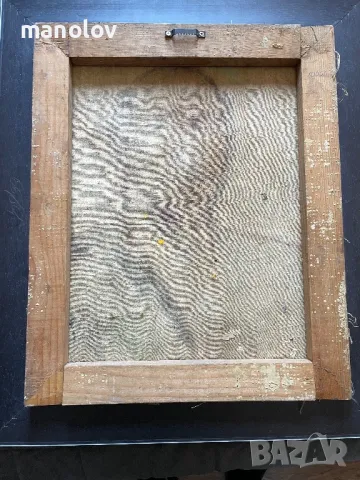 Картина Кина Гошева Масло Платно, снимка 6 - Картини - 50289720