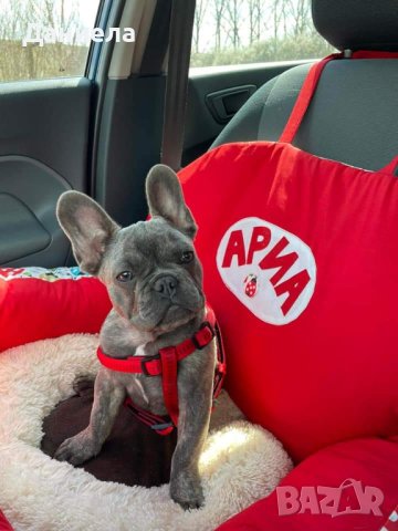 Кучешки легла с име, снимка 5 - За кучета - 43119754