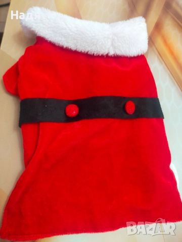 Коледна дрешка за куче 