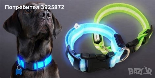 Светещ нашийник за кучета Nobby НОВ