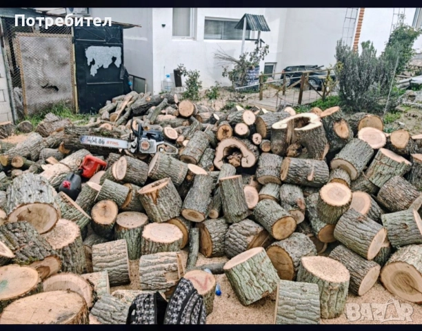 рязане на дърва за огрев и кастрене на дървета, снимка 6 - Други услуги - 51897190