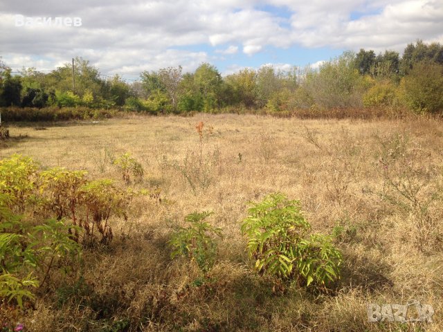 Парцел в регулация 2660 кв.м. село Млада Гвардия област Варна, снимка 3 - Парцели - 38519020