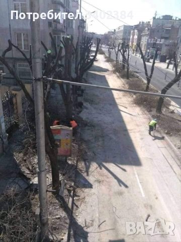 Рязане на високи и опасни дървета и почистване на дворове от треви и храсти., снимка 8 - Градинска техника - 36933277