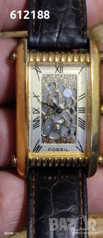 Fossil Skeleton , снимка 1