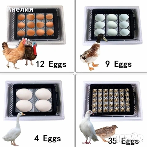 Напълно автоматичен инкубатор за 48 яйца 80W YZ8-48 , снимка 5 - За птици - 53354713