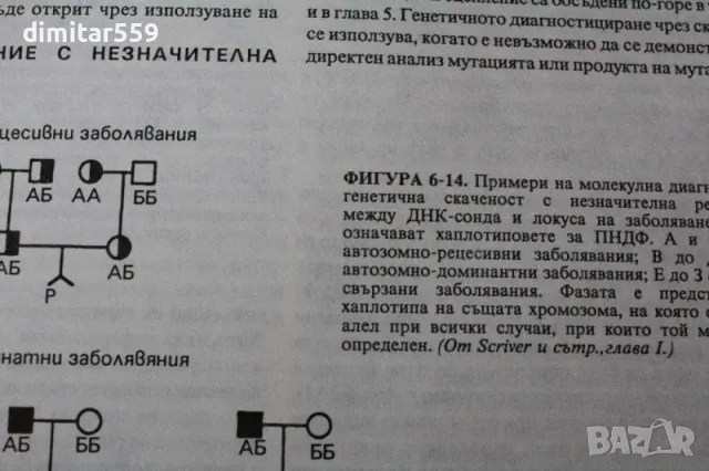 Основи на вътрешната медицина Том 1-3-4 12 Харисън, снимка 6 - Специализирана литература - 47770716