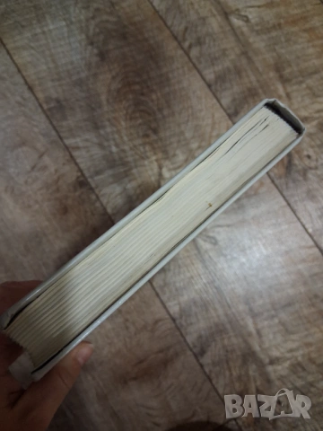 Тайният живот на Салвадор Дали , снимка 4 - Художествена литература - 53436294