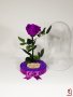 Лилава Вечна Роза в Стъкленица / Оригинален Подарък за Жена / Лилава Естествена Вечна Роза, снимка 4