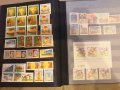 Голям класьор пощенски марки Бразилия, снимка 8