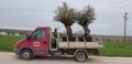 Транспортни услуги , Изхвърляне на строителни отпадъци Варна, камион самосвал с кран до 2.5т , снимка 6