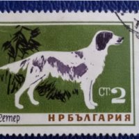 БЪЛГАРИЯ 1964 - ФАУНА, ПОРОДИ КУЧЕТА, снимка 1 - Филателия - 33458046