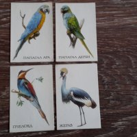 Стари календари на птици 15лв за всички , снимка 3 - Колекции - 38590095