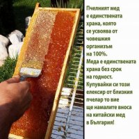 Пчелен Мед  реколта 2023г,ливадни билки, букет , снимка 4 - Пчелни продукти - 32625006