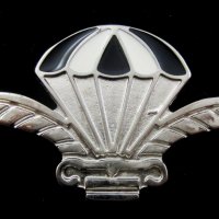 Парашутни значки-Парашутисти-Военни знаци-ВВС-Рейнджъри, снимка 12 - Колекции - 40047710
