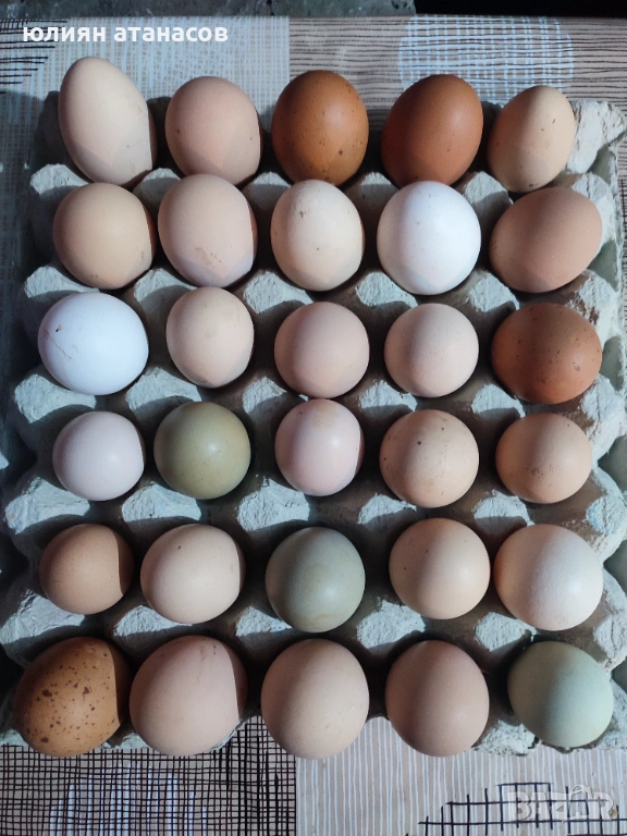 Продавам яйца, снимка 1