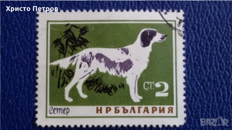 БЪЛГАРИЯ 1964 - ФАУНА, ПОРОДИ КУЧЕТА, снимка 1