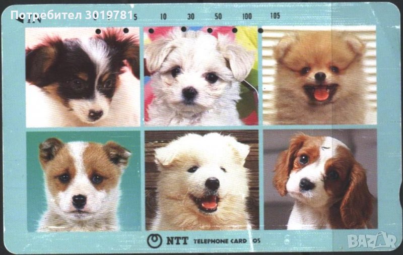 Фонокарта Фауна Кучета от Япония, снимка 1