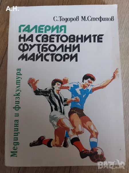 Галерия на Световните Футболни Майстори, снимка 1