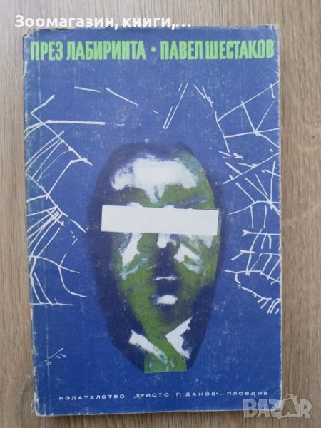 През лабиринта - Павел Шестаков, снимка 1